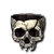 Chipped Skull