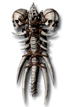 Grim Shield